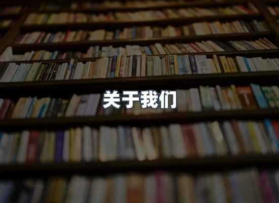 专业团队
